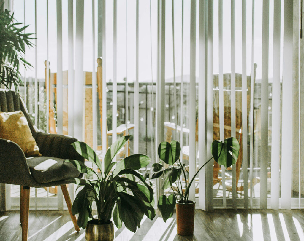 Natural light optimized by indoor plants and window treatments