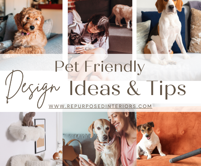 Pet Friendly design ideas and tips