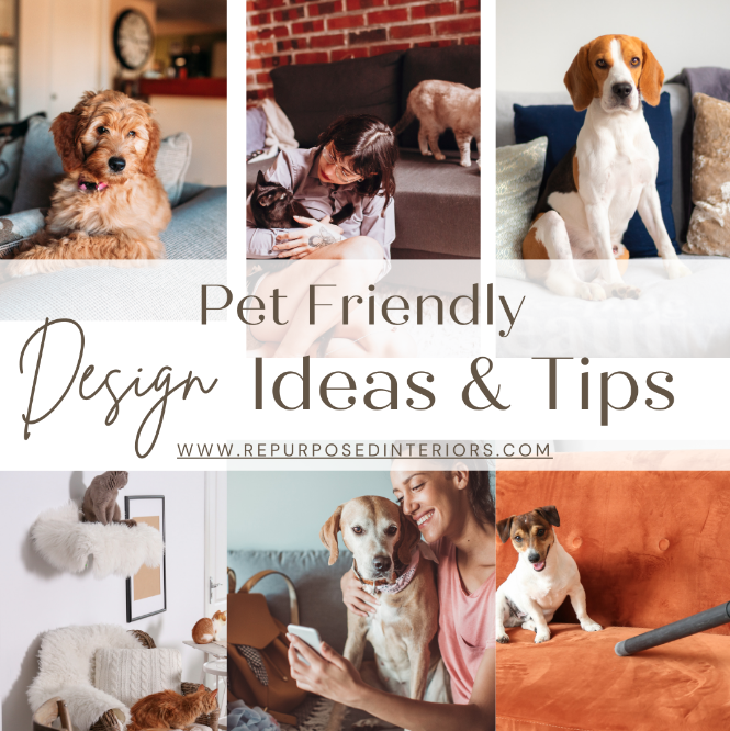 Pet Friendly design ideas and tips